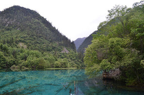 �����廨������