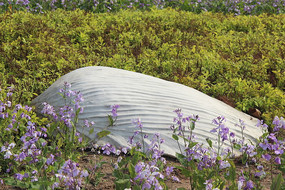 ���ǵ���