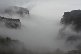 �����ƺ�