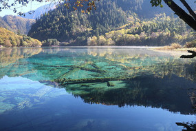 �����廨������