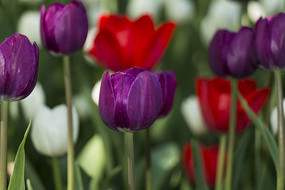 ����������