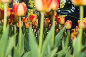 ��������㻨��