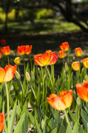 ����������ʻ�