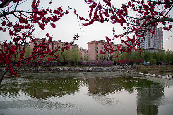 ��ɫ������С��