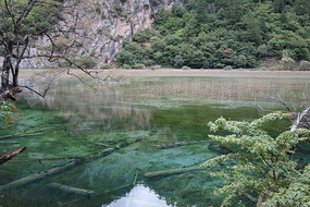 կ«έ