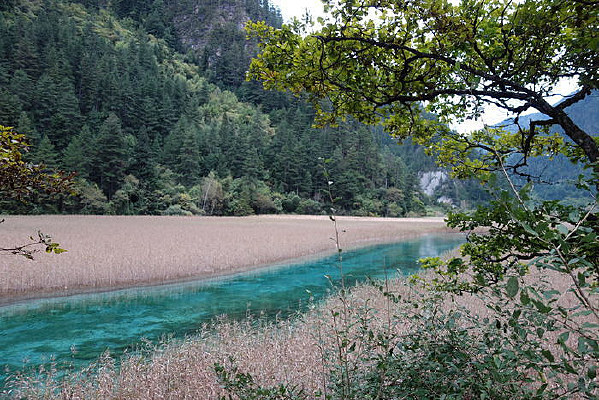 «έ������