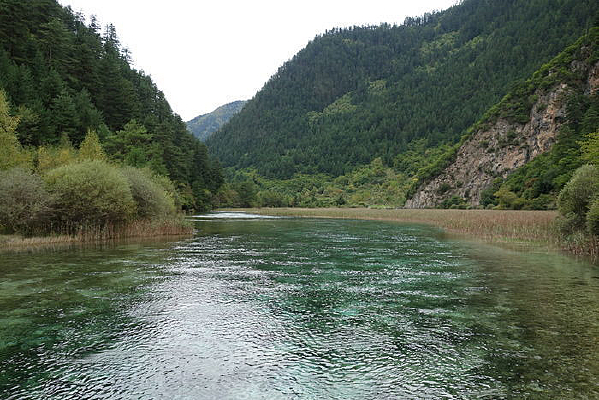 «έ������