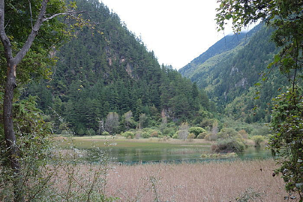 «έ������