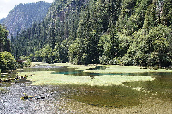 «έ������