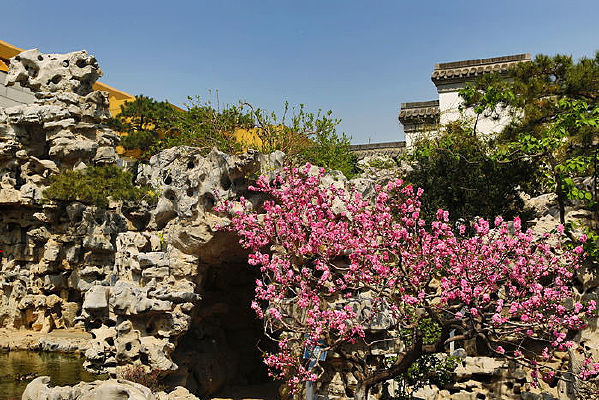 ÷����ɽ԰���쾰