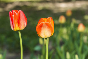 �����������ʻ�