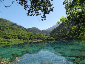 �����廨������