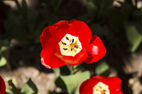 ����������