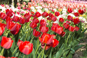 ˮ�����������㻨��