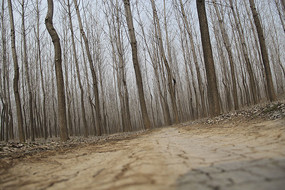 ������·