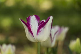 ����������