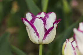 �����������ʻ�