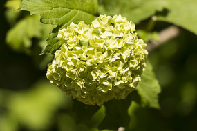 ���򻨻���