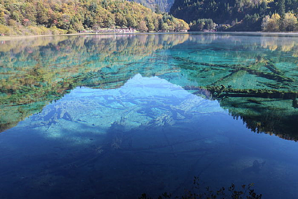 Ѥ���廨��