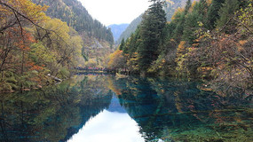 Ѥ���廨������