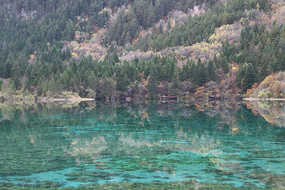 Ѥ���廨������