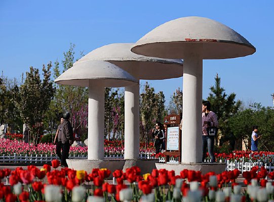 ��������԰