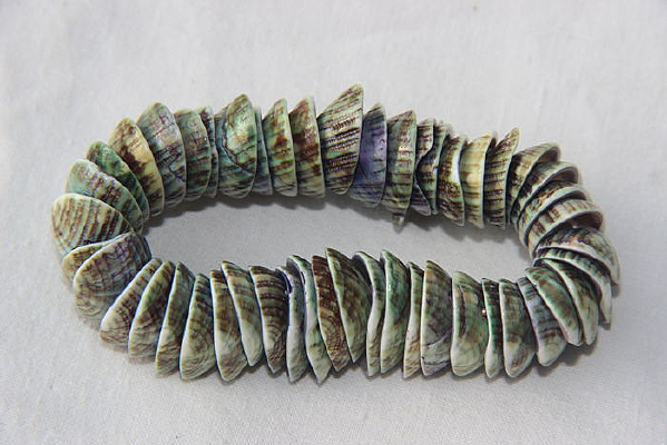 �����ִ�