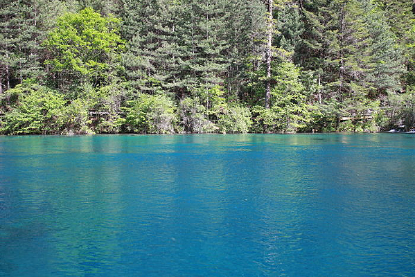 �����կ������