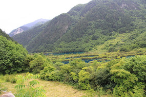 ��������Ⱥ������