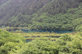 ��������Ⱥ������