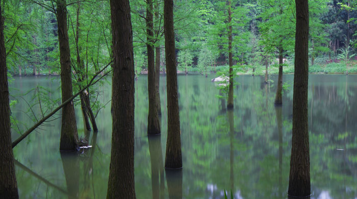 ���е���