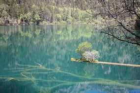 ���񺣾���