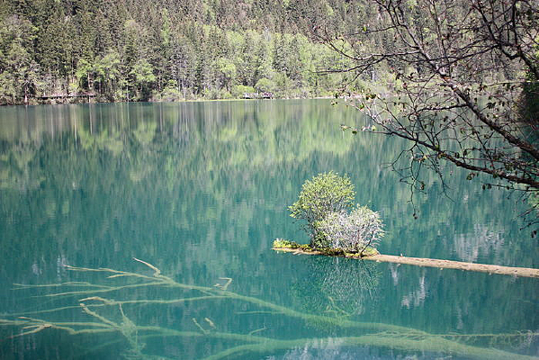 ���񺣾���