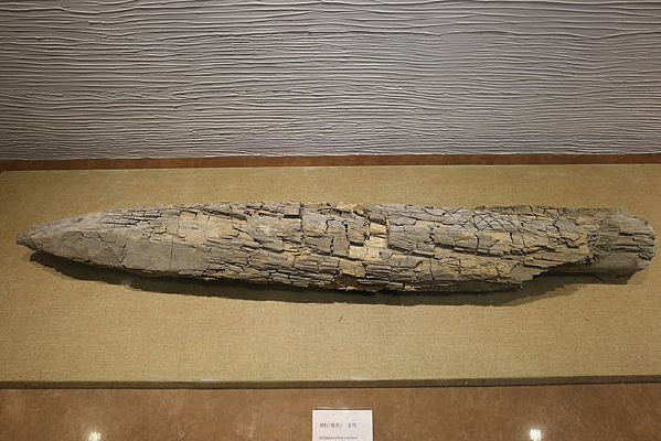 ���ľͷ�ض���׮