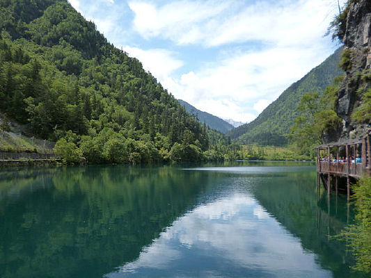 ��կ����è��