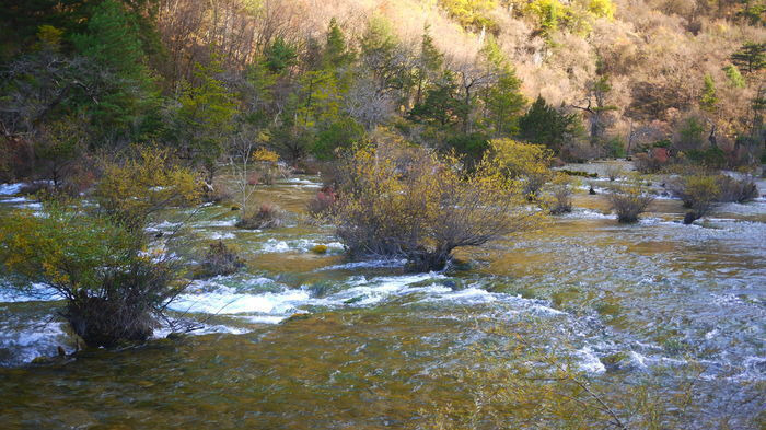 ����Ⱥ�����