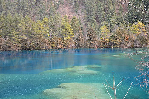 ����Ⱥ������