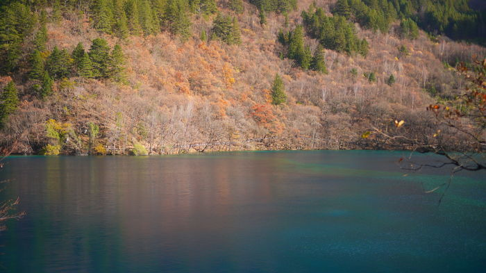 ����Ⱥ������