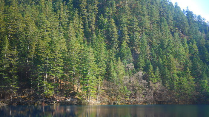 ����Ⱥ������