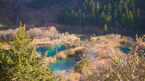 ����Ⱥ������