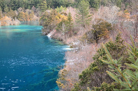 ����Ⱥ���ٲ�����