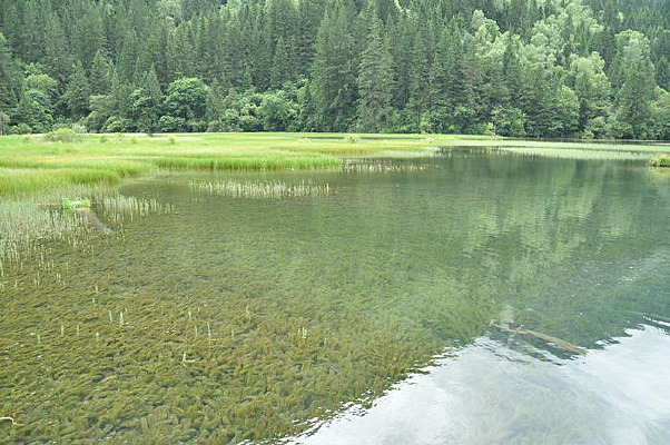 Ψ����������