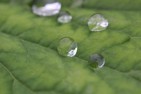 ����¶��