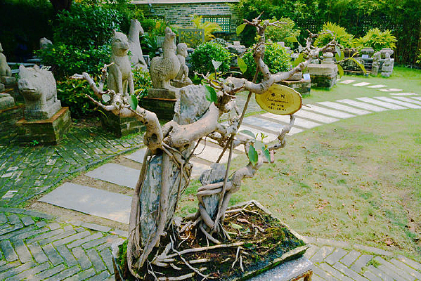 ��סʯͷ������