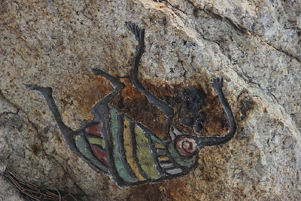 ������������