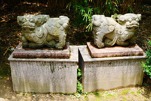 ��ʨ����