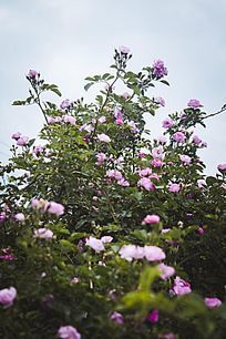 ��ɫ�¼�����