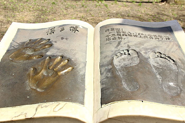 ��������ӡ