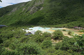 ������ʳ�����