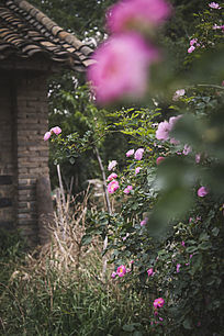 �Ϸ�ǰ���¼�����